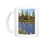 Photo Mug of ANZ-989 A smalll river in semi-tundra in autumn, near Dudinka