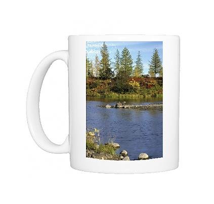 Photo Mug of ANZ-989 A smalll river in semi-tundra in autumn, near Dudinka