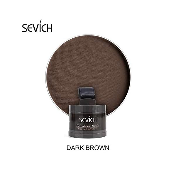Instantly Hairline Shadow - SEVICH Hairline Powder, Quick Cover Grey Hair Root Concealer, Eyebrows & Beard Line, Hair…