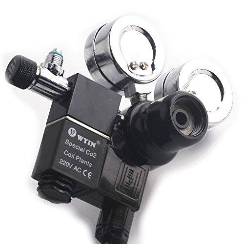 1 Aquarium+Regulator+Display+Solenoid+Cylinder