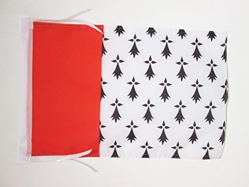 AZ FLAG, Pays nantais Flag, 18'' x 12'', 100% Polyester Bro Naoned in Brittany Small Banner with Two Cords, Fade Resistant