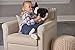 Wild Republic, Boston Terrier Plush, Stuffed Animal, Plush Toy, Gifts for Kids, Cuddlekins, 12