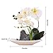 Imiee Artificial Phaleanopsis Arrangement with Vase Decorative Orchid Flower Bonsai (White)