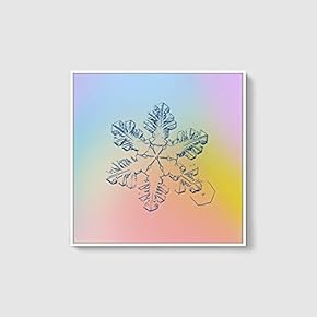 Framed Canvas Wall Art for Living Room, Bedroom Snowflake Theme Canvas Prints for Home Decoration Ready to Hang - 16x16 inches