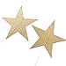 Ling's moment Star Garland Star Bunting Decorations, Paper Star Banner Hanggings for Wedding Birthday Party Baby Shower, Gold Christmas Decorations(Gold Iridescent Paper) 34pcs