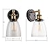 Linea di Liara Fiorentino Black and Gold Wall Sconce Lighting Fixture Farmhouse Bathroom Wall Sconce Bedroom Wall Lighting and Hallway Wall Light with Clear Glass Shade, LED Bulb Included, UL Listed