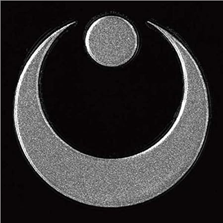 Amazon 家紋 蒔絵シール 真向き月に星 銀 シール ステッカー おもちゃ