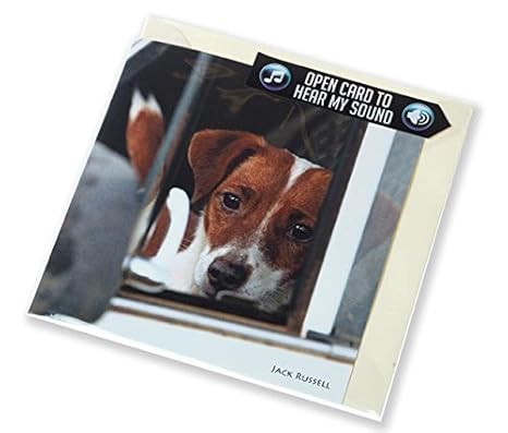 Csp Charles Sainsbury Plaice Jack Russell Greeting Card With Sound