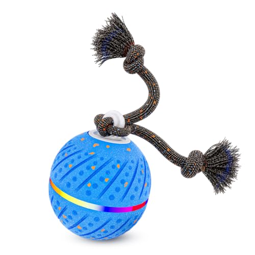 Sankell Smart Interactive Dog Ball