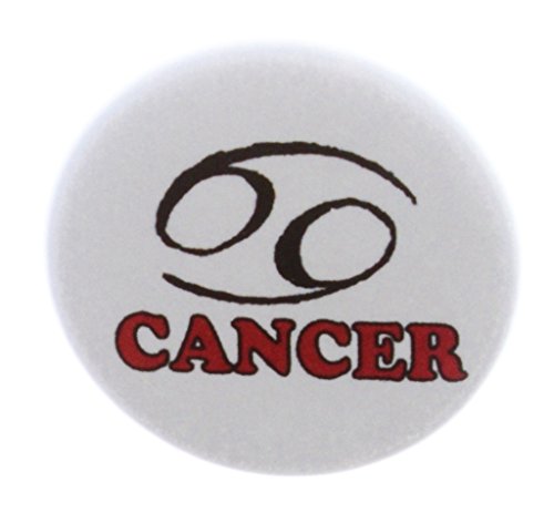 A&T Designs Cancer 2.25" Keychain Zodiac Horoscope Astrological Sign Symbol