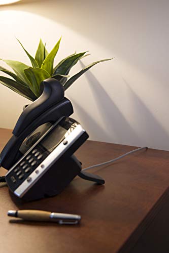 image for Power Gear Phone Line Cord, 15 Foot Phone Cord, Modular Jack Ends, Wor