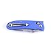 Firebird Knife F704 Pocket Folding Hunting Knife G-10 Handle SS Blade (Blue)