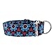EXPAWLORER Martingale Collars for Dogs, Heavy Duty Nylon Dog Collar Large