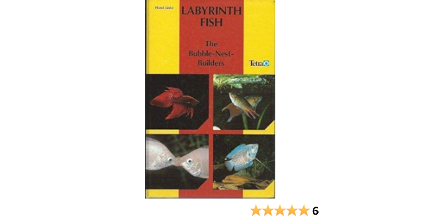 Labyrinth Fish The Bubble Nest Builders Linke Horst 9783893561377 Amazon Com Books