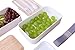 MERCIER Leak Proof Premium Bento Lunch Box with Cutlery Set