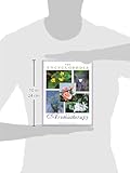 Image de The Encyclopedia of Aromatherapy