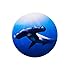 Shark Photo Realistic ROLL Sticker - Stationery - 1 Piece