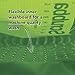 Scrubba Portable Wash Bag (Manufacturer Discontinued Model) - Green, 145 g, SBAG-001