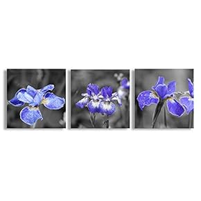 Beautiful Flowers Collage Painting Artwork for Home Framed x3 Panels