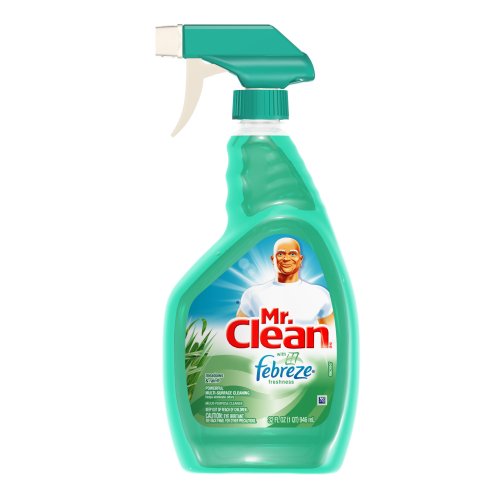 Mr. Clean Spray Garbagecan