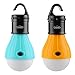 Goofy 2 Pack Portable LED Lantern Tent Light Bulb for Camping Hiking Fishing Emergency Light, Battery Powered Camping Equipment Gear Gadgets Lamp for Outdoor & Indoor ÿ