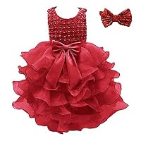 Weileenice Girls Kids Tulle Flower Dress Baby Girl Princess Wedding Pageant Birthday Party Dresses (3-6 Months, Burgundy Dress+Headband)