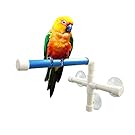 Qulable Shower Bird Perch, Portable Suction Cup Parrot Toy Fold Away Window Stand Toys for Small Medium Birds