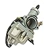 Glixal ATMTADB104 Carburetor PZ30 Carb 200cc 250cc 30mm Cable Choke Carb 4-Stroke Dirt Bike ATV Quad Go-kart Taotao SunL JCL JetMoto Kazuma Baja
