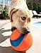 Chuckit! Kick Fetch Ball Dog Toy, Small (6 Inch)