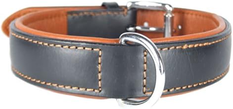 Comfy LEATHER DOG COLLAR Padded And lined with Lamb's Leather: (22" Collar- Will Fit 16" to 20" (1" Wide).)