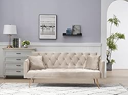 ERYE 3 in 1 Upholstered Futon Sofa Loveseat