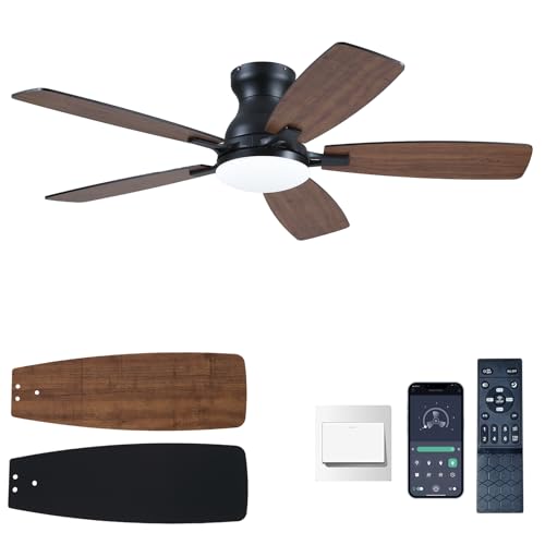 NKPU Ceiling Fans Lights Low Profile Ceiling