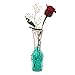 Magic Beadz - Turquoise Green Gel Water Beads - Transparent Jelly Pearls - Vase Filler - Wedding Centerpiece - Candles - Flower Arrangements - Over 30,000 Beads - 11oz Jar Makes Over Ten Gallons