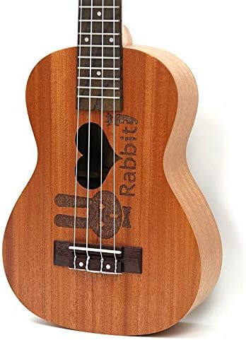 Electric Concert Ukulele, 23 Inch Hawaiian Mini Guitar Cartoon 4 Strings Ukelele,Mahogany Handcraft Musical Uke Acoustic