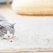 VINNEL Cat Laser Pointer, 6 in 1 Multi Function Funny Laser Pointer Cats Interactive LED Light,Scratching Training Tool Red Pot Exercise Chaser Toy