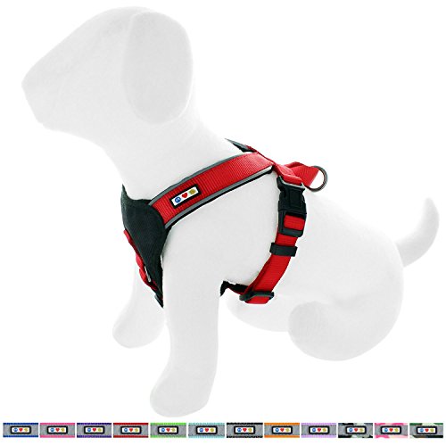 Pawtitas Pet Training Soft Adjustable Reflective Padded Puppy Dog