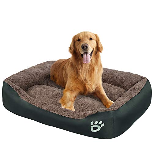 OQQ Orthopedic Dog Bed for Small/Medium/Large Dogs Dog Beds with