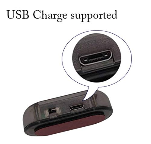image for TRUE LINE Automotive Car Fake Alarm Warning Anti-Theft LED Flashing Se