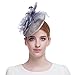 Valdler Halloween Black Costume Feather Net and Veil Fascinator Hair Clip Hat Hair Accessories Clip for Festival Party