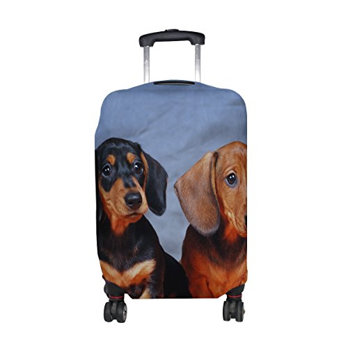 Are Dachshunds Protective