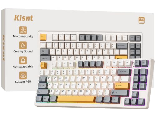 Kisnt KN85 Mechanical Keyboard