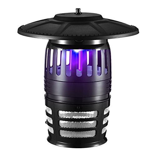 Thing need consider when find bug trapper indoor fan? | Pokrace.com