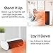 Personal Space Heater, Portable Oscillating Electric Heater, Horizontal-vertical dual use with Over-Heat Protection, Quick Heat-up for Home Office