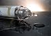 Elite Serum. Defend. Protect. Rejuvenat NEW (.47 oz)