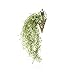 Miracliy 2.6FT Artificial Hanging Vine String Plant Garland Fake Flowers Greenery Plants for Home Garden Wall Decoration, Pack of 2 (White)