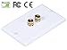 iMBAPrice 2 Coupler Type Connectors Banana Plug Binding Post Wall Plate for 1 Speakers