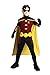 Rubie's Costume Young Justice Robin Child Costume, Medium