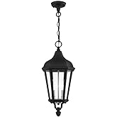 Livex Lighting 2 Light TBK Outdoor Pendant Lantern