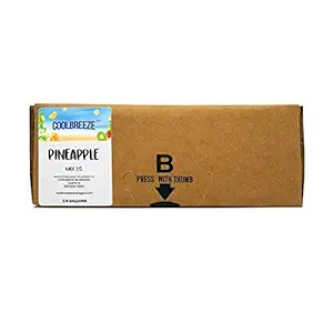 Coolbreeze Beverages Pineapple Juice Flavor Syrup Juice Concentrate 2.5 Gallon BIB Bag In Box - Ready To Use, Shelf Stable