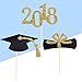 BESTONZON 48pcs Graduation Cupcake Toppers 2018 Graduation Party Decorations Cake Topper Picks Toothpick Toppers